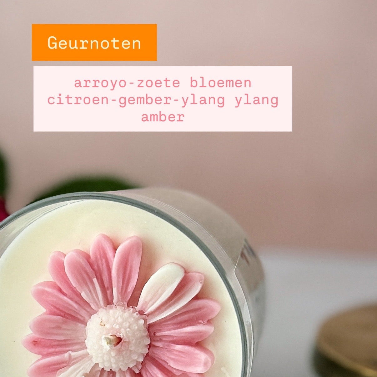 Floréa - Lente editie